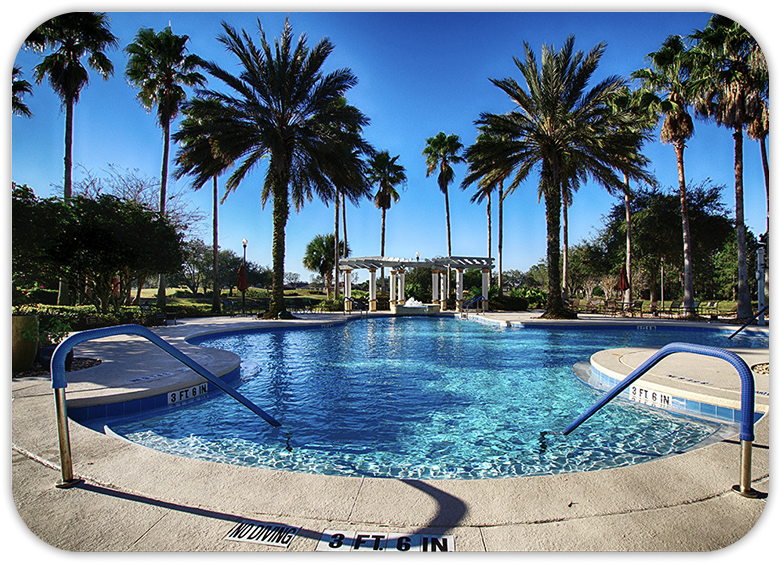 Pool and palm trees in Florida