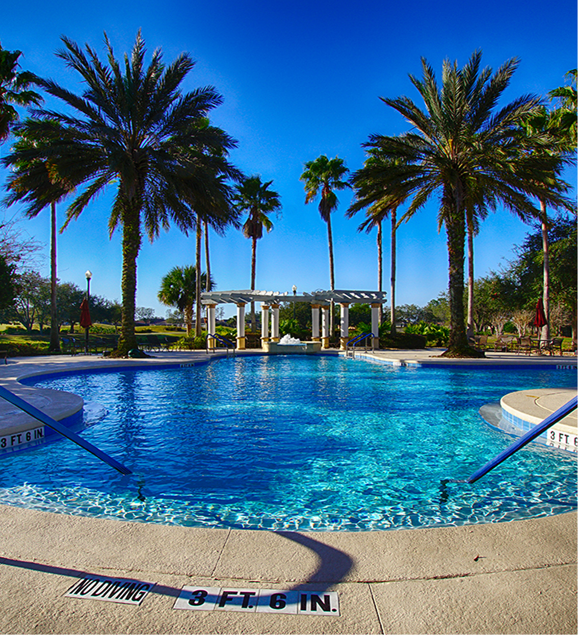Central Florida active adult community pool with palm trees