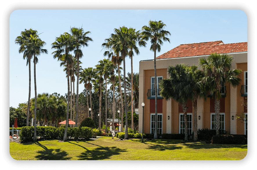 Palm trees and a Bella Verde community building