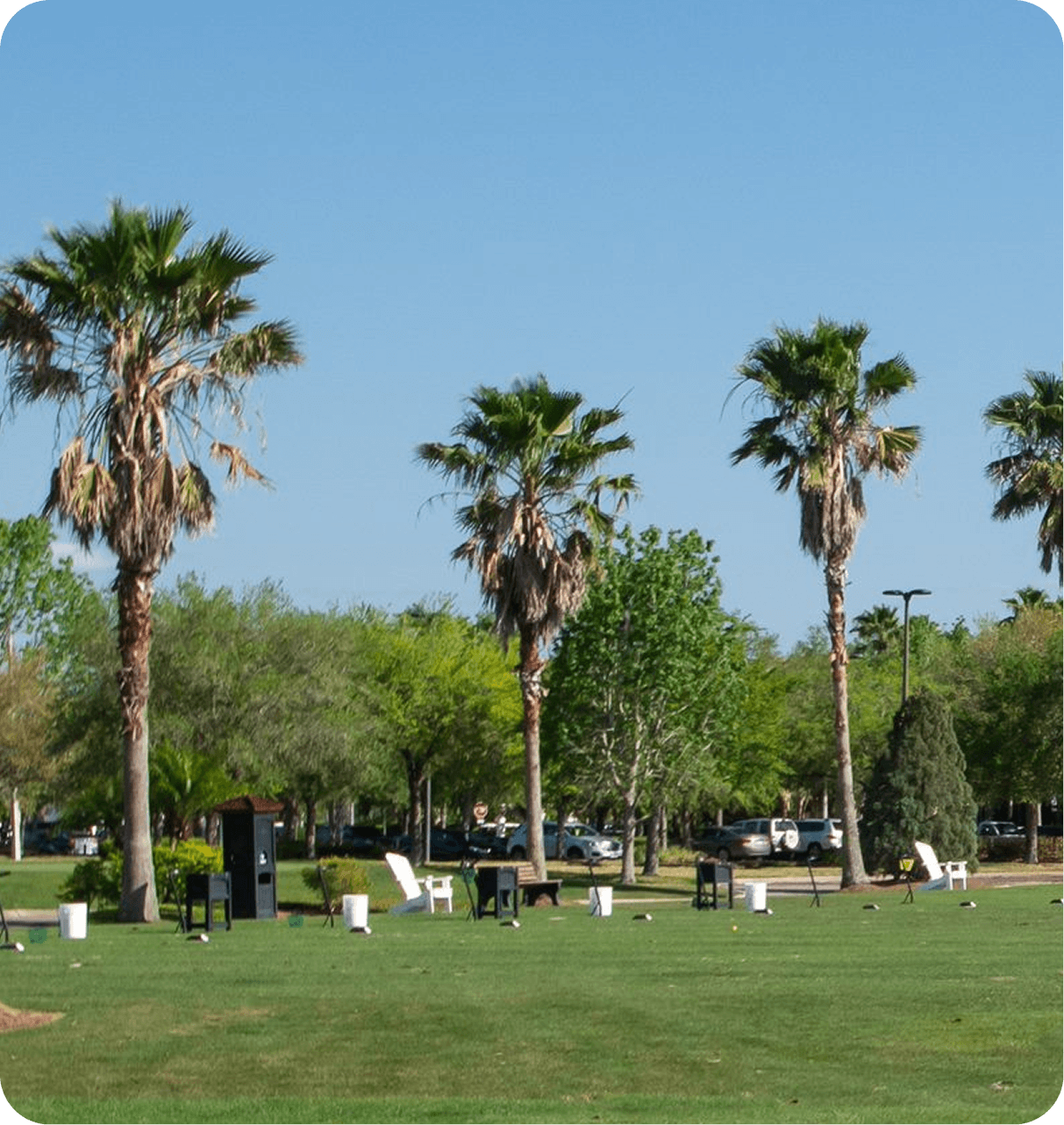 Palm trees and lawn in a Central Florida active adult community
